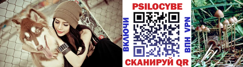 Псилоцибиновые грибы Psilocybine cubensis  Усинск 
